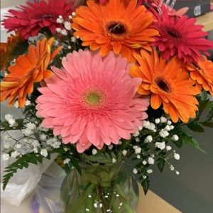 Meet your Posher, Jenn